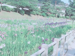 image17.jpg