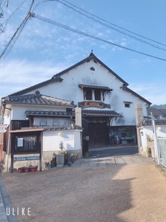 image21.jpg