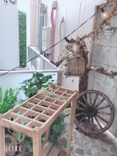image12.jpg