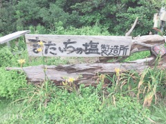 image12.jpg
