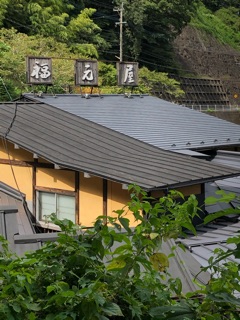 image14.jpg