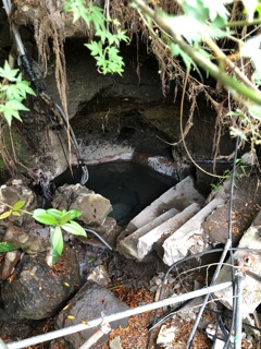 image17.jpg
