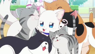 わんだふるぷりきゅあ！ 第34話 「ねこ、ネコ、猫集会」 | くにづくり