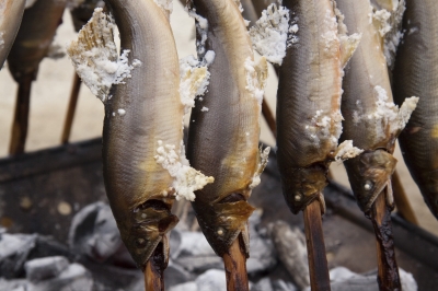 三拍子揃っているように思えます。 | ニュース