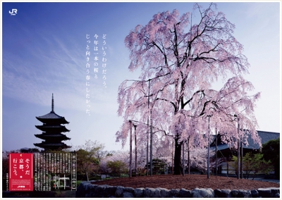 JR東海「そうだ、京都行こう」2011年春 東寺編