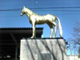 EDO観察日記16-3
