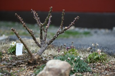 IMG_3178.jpg