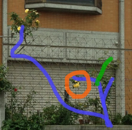 photoforgephoto.jpg