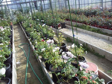 14-04-27_002.jpg