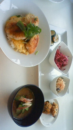 201105241241000.jpg