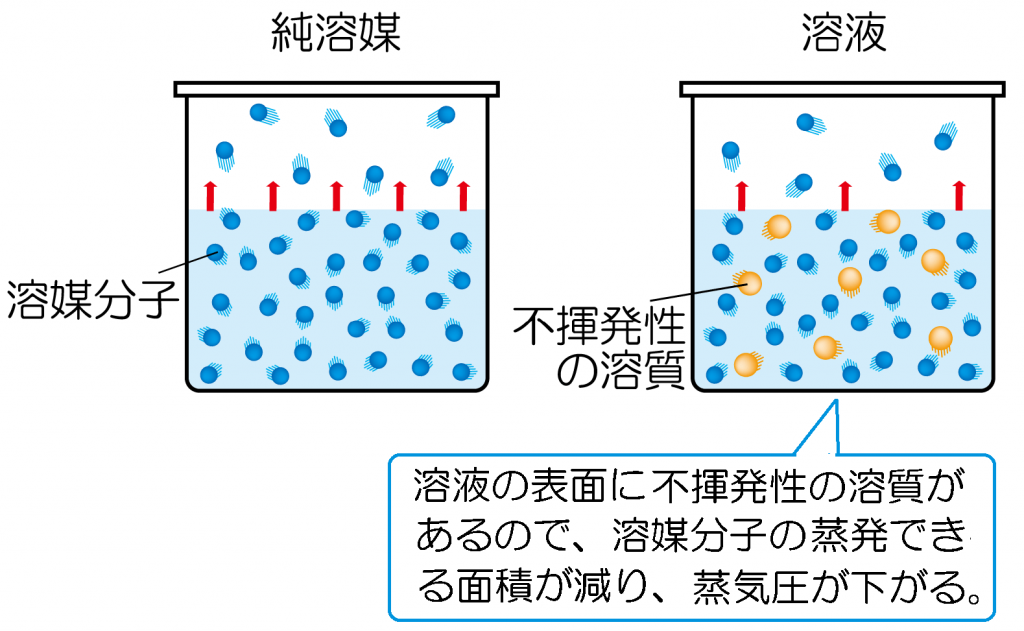溶質とは