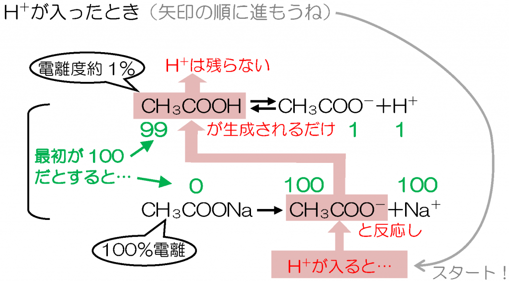 緩衝液の選択と応用