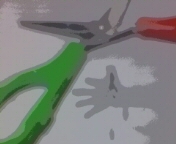 20090405105344.jpg