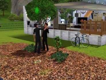 sims3