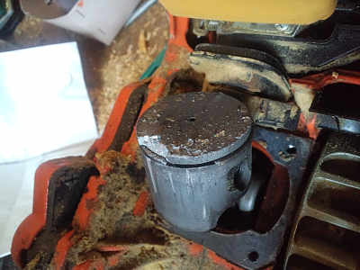 CA3F0006.jpg
