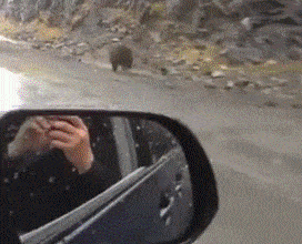 84e6669cdb674c17cc5e4baf5d8de08f_26806.gif
