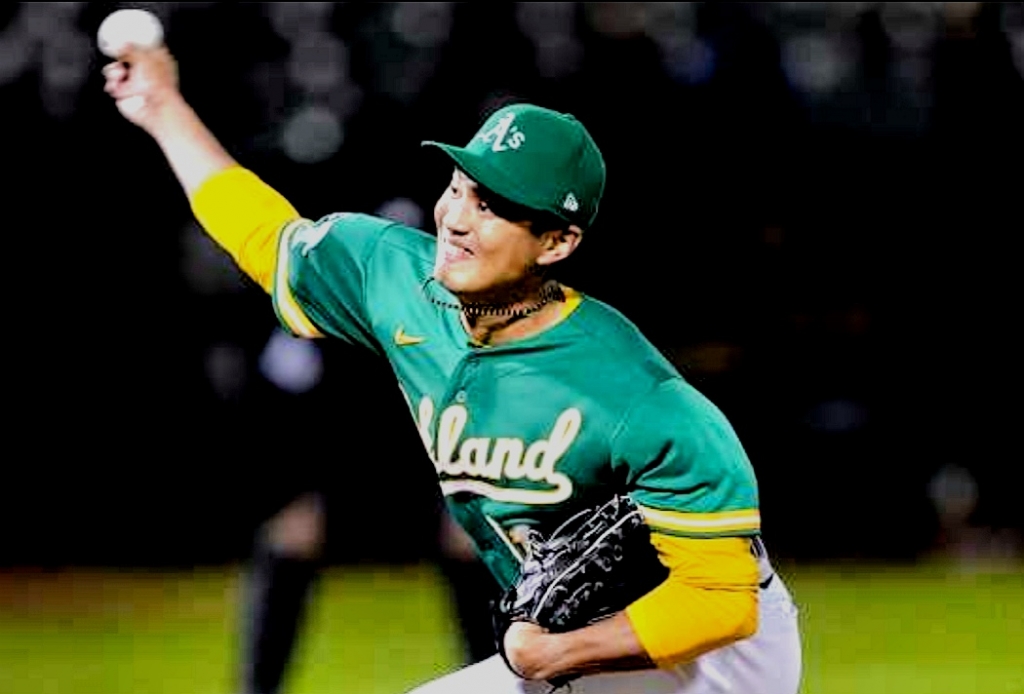 大谷以上 水谷幹治