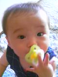 050908_1241~01.jpg