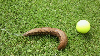 2011090519070000.jpg