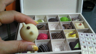 2011101121570001.jpg