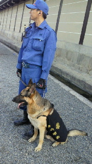 2011110220410000.jpg