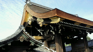 2011110220420000.jpg