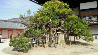 2011110220420001.jpg