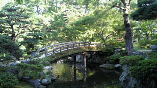 2011110220420002.jpg