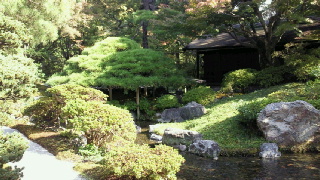 2011110220430000.jpg
