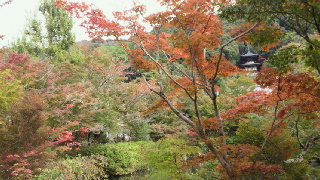 2011110220450001.jpg