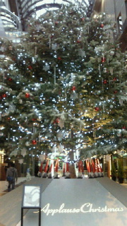 2011120322420001.jpg