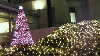2011120322420002.jpg