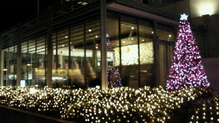 2011120322430000.jpg