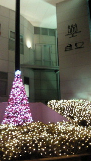 2011120322430001.jpg