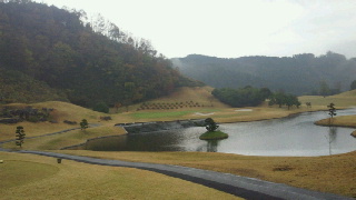 2011120811190001.jpg