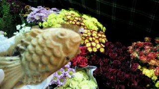 2011121513150000.jpg