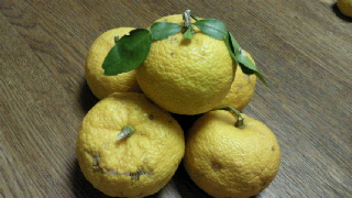 2011122301110000.jpg