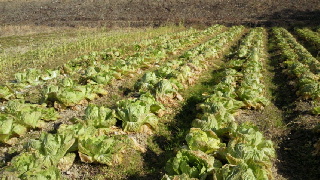2011123118410000.jpg