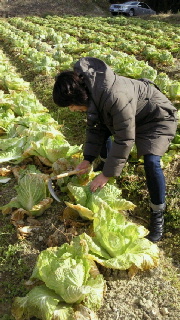 2011123118420000.jpg