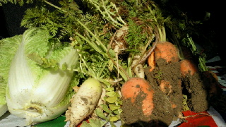2011123118430001.jpg