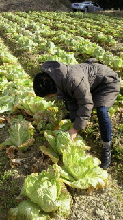 2011123118430002.jpg