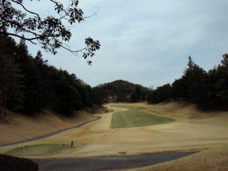 2012011912080000.jpg