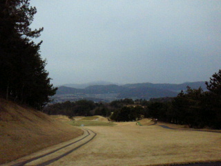 2012011912080001.jpg