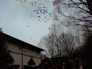 2012012221510000.jpg