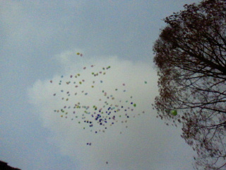 2012012221510001.jpg