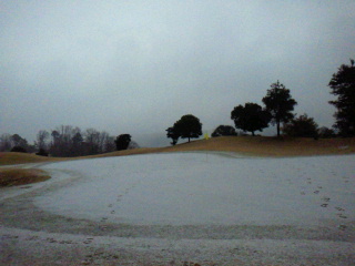 2012020200500002.jpg
