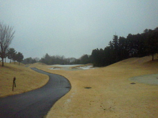 2012020200500003.jpg