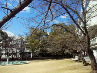 2012020211230000.jpg