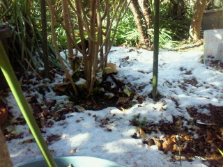 2012021809490000.jpg