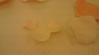 2012022323320001.jpg